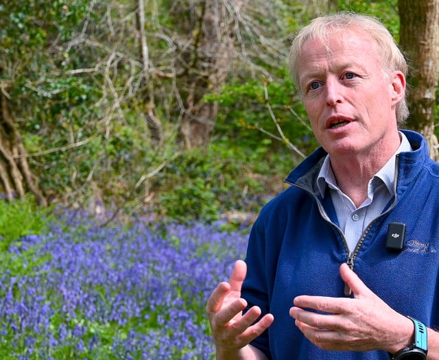 Global sustainability ‘reset’ needed says Aberystwyth academic