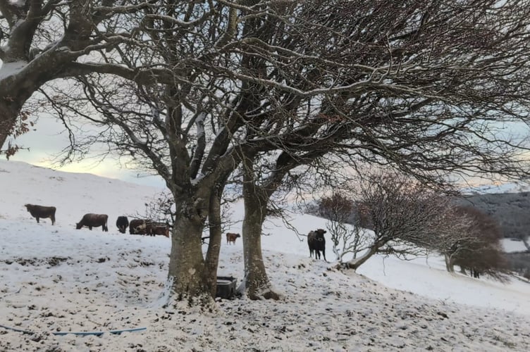 The conditions in the hills near Forge on the morning of 9 January.