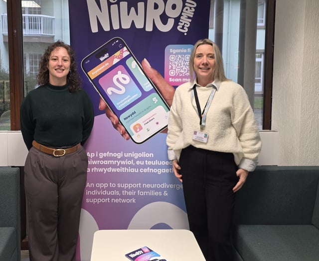 Gwynedd Council launches bilingual app for neurodivergent support