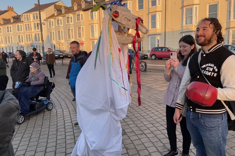 Mari Lwyd