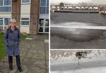 Dol Hendre's unresolved roof repair issues