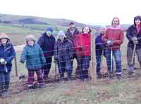 Flood victims don wellies planting 40,000 trees to slow the flow