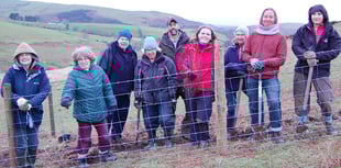 Flood victims don wellies planting 40,000 trees to slow the flow