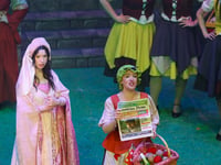 Cambrian News and Harbour Scheme feature in Robin Hood pantomime