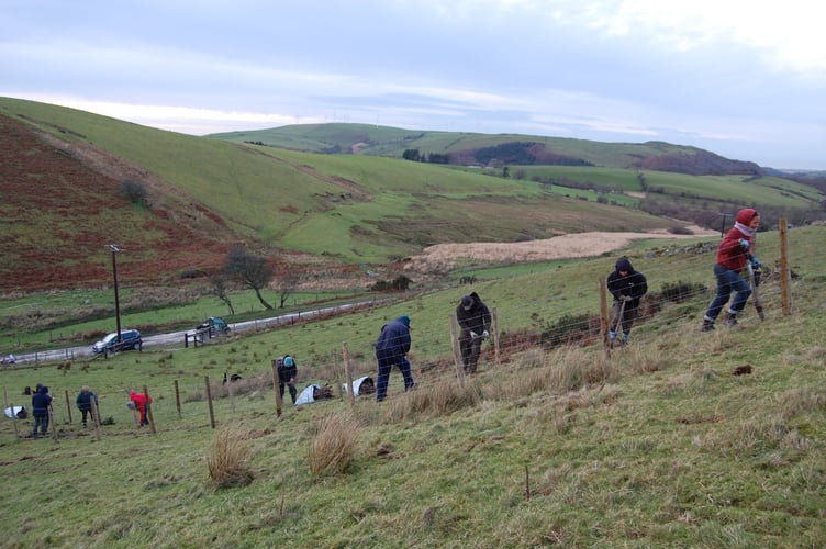 The tree planting group is made up of students, retirees, flood victims, wildlife enthusiasts, landowners, and those just wanting to get outside during winter.