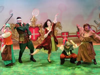 Robin Hood cast shine in Aberystwyth's captivating panto