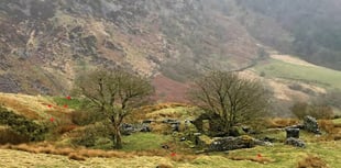 Afon Cynfal hydro-electric scheme plan delayed for further review