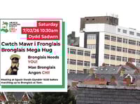 Services can't continue as they are, claims Hywel Dda chief