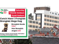 Services can't continue as they are, claims Hywel Dda chief