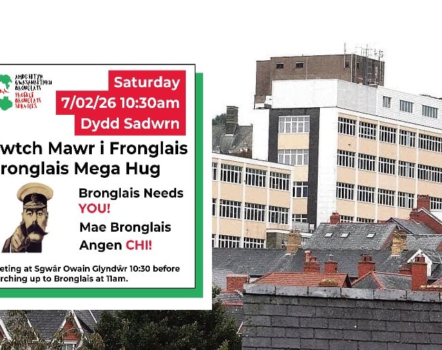 Who has the final say on services at Bronglais Hospital