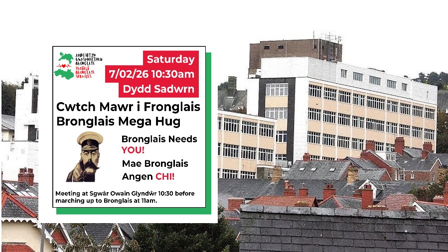 Who has the final say on services at Bronglais Hospital