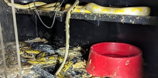 Couple jailed after RSPCA inspectors discovered house of horrors