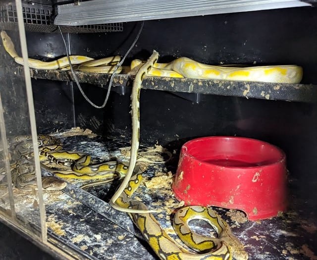 Couple jailed after RSPCA inspectors discovered house of horrors