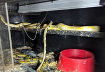 Couple jailed after RSPCA inspectors discovered west Wales house of horrors