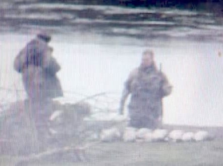 Police investigate illegal geese shooting in Carmarthenshire