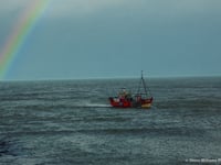 Picture This: Cambrian News readers' photos