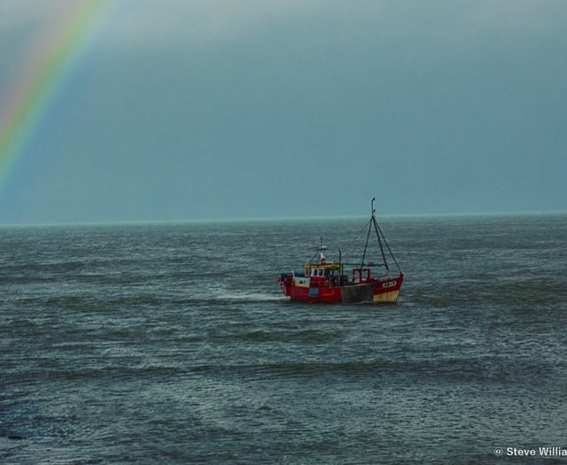 Picture This: Cambrian News readers' photos