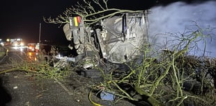 Lorry catches fire after collision with tree