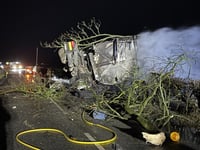 Lorry catches fire after collision with tree