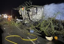 Lorry catches fire after collision with tree