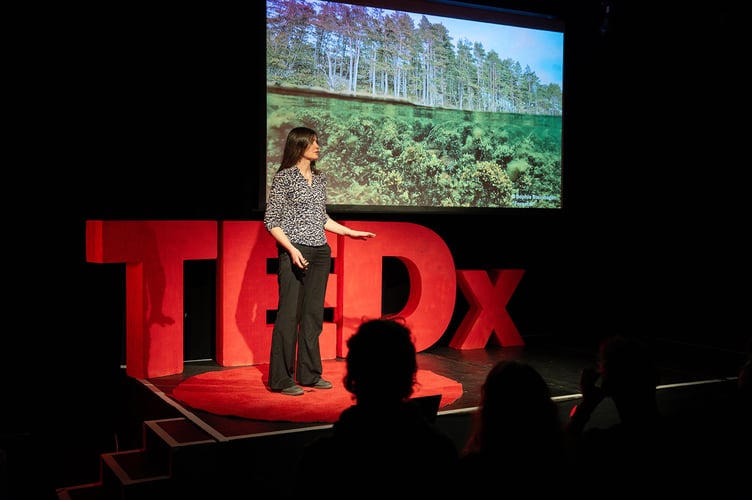 Ted X Aber 2025. Photo: Angharad Bache