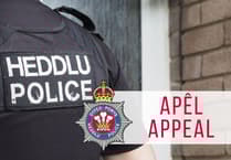 Police appeal after dog attack on Ceredigion beach