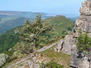 New national park could scupper Powys development plan