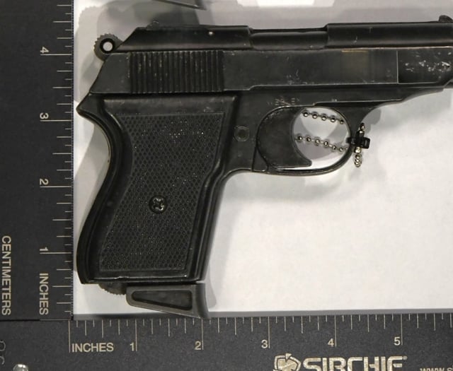 Police call on blank-firing gun owners to hand them in