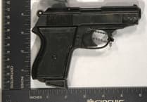 Police call on blank-firing gun owners to hand them in