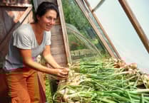 Learn how to build a glamping nature reserve with volunteer days at Orchid Meadows
