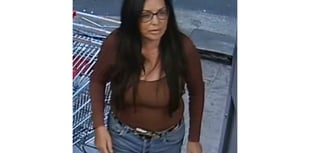 Police seek help identifying woman after Dolgellau incident