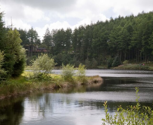 Car park and trails closed as NRW starts tree-felling at Nant yr Arian
