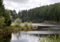 Car park and trails closed as NRW starts tree-felling at Nant yr Arian