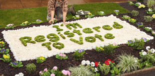 Residents urge to register to vote 