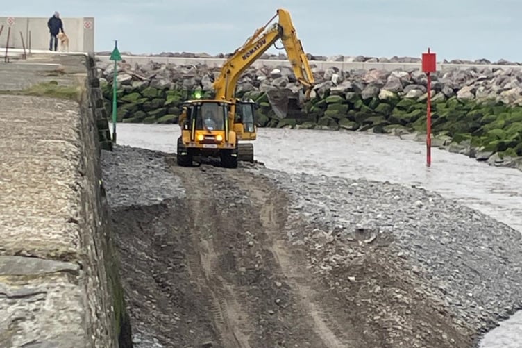 A dog walker watches the dredging work, which began on Monday 2 February.