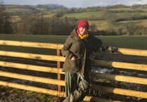 Landowners challenge pylon company in High Court