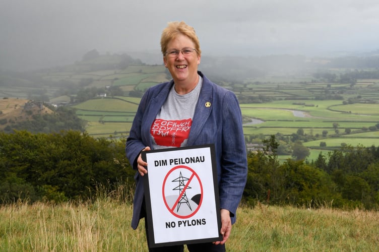 Ann Davies MP with her 'cofiwch' t-shirt.