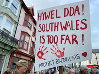 Plaid's victory is good news for Bronglais