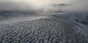Wales' largest eco restoration project launches in Cambrian Mountains