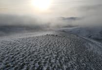 Wales' largest ecological restoration project launches in Cambrian Mountains