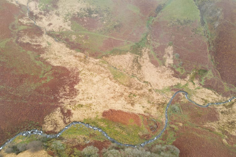 The land in the Cambrian Mountains will be restored to increase biodiversity, carbon storage, and reduce flood risks through techniques including peatland rewetting.
