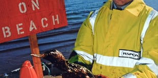 RSPCA looks back at the Sea Empress oil tanker disaster 30 years on