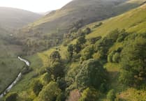 Farmers union hits out at Wales' largest rewilding scheme in Cambrian Mountains