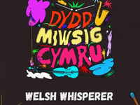 Celebrate Dydd Miwsig Cymru at Pennal pub with Welsh Whisperer