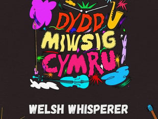 Celebrate Dydd Miwsig Cymru at Pennal pub with Welsh Whisperer