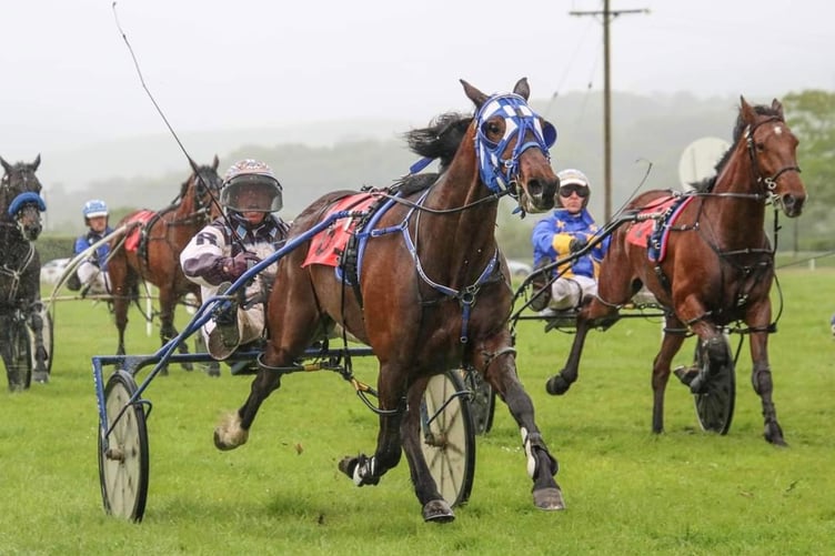 One of Clifford's horses driven by Rocker Laidler