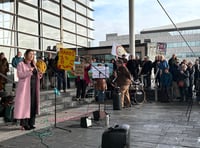 Pylon protestors take to steps of Senedd