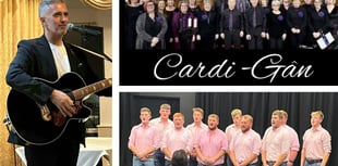 Aberystwyth fundraiser plans charity concert for two good causes