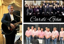 Aberystwyth fundraiser plans charity concert for two good causes