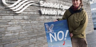 Election: What your candidates will do for Wales' environmental crisis
